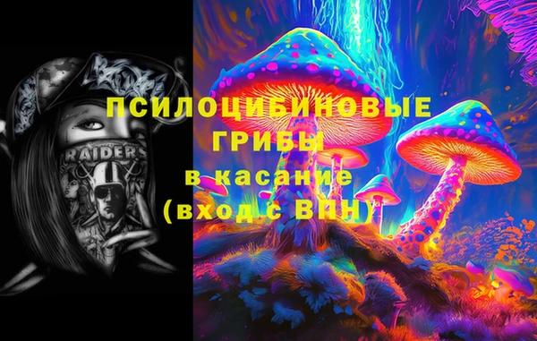 СК Волосово